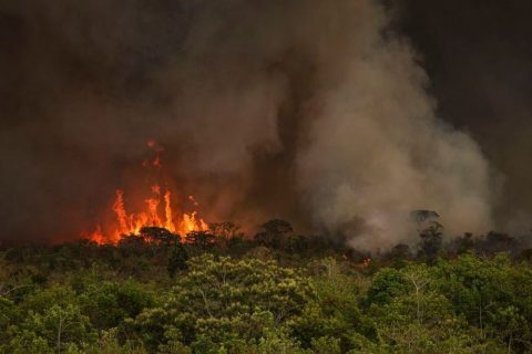 Em nove meses, Brasil tem 22,38 milhões de hectares atingidos por focos de incêndio