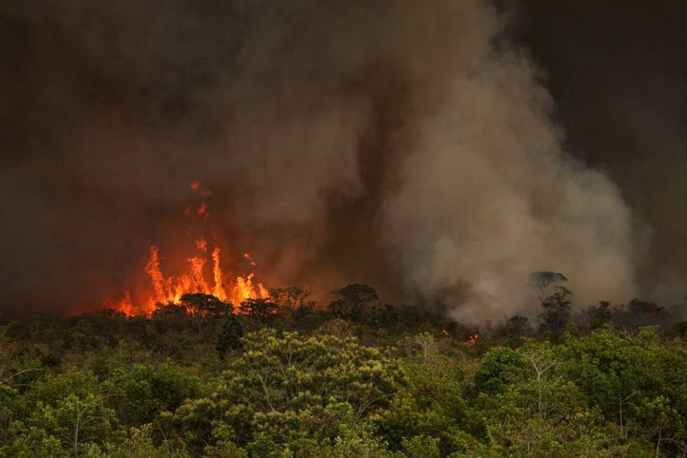 Em nove meses, Brasil tem 22,38 milh&otilde;es de hectares atingidos por focos de inc&ecirc;ndio