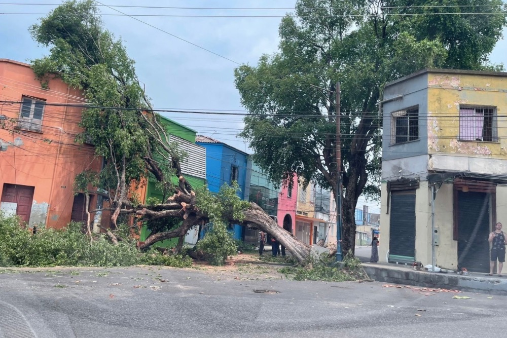 Forte ventania atinge Manaus e causa danos a cidade Forte ventania atinge Manaus e causa danos a cidade