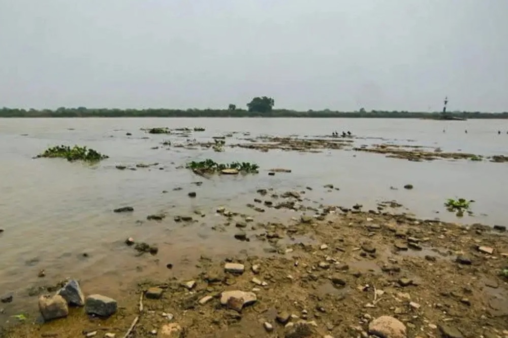 Rio Paraguai registra mínima histórica em ano mais seco no Pantanal Rio Paraguai registra mínima histórica em ano mais seco no Pantanal