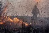 Focos de incêndios no Brasil já são 76% maior que em 2023
