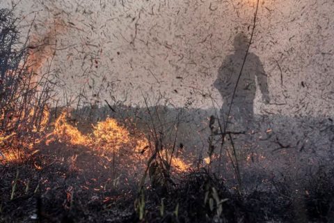 Focos de incêndios no Brasil já são 76% maior que em 2023