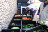 Instituições socioassistenciais são beneficiadas com entrega de 120 toneladas de alimentos em Manaus