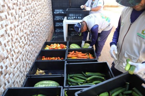 Instituições socioassistenciais são beneficiadas com entrega de 120 toneladas de alimentos em Manaus