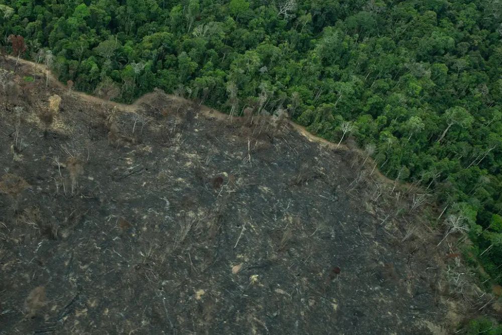 Greenpeace divulga imagens de novas &aacute;reas de garimpo em TIs na Amaz&ocirc;nia