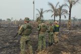 Operação Ibirá combate desmatamento ilegal em municípios do Amazonas