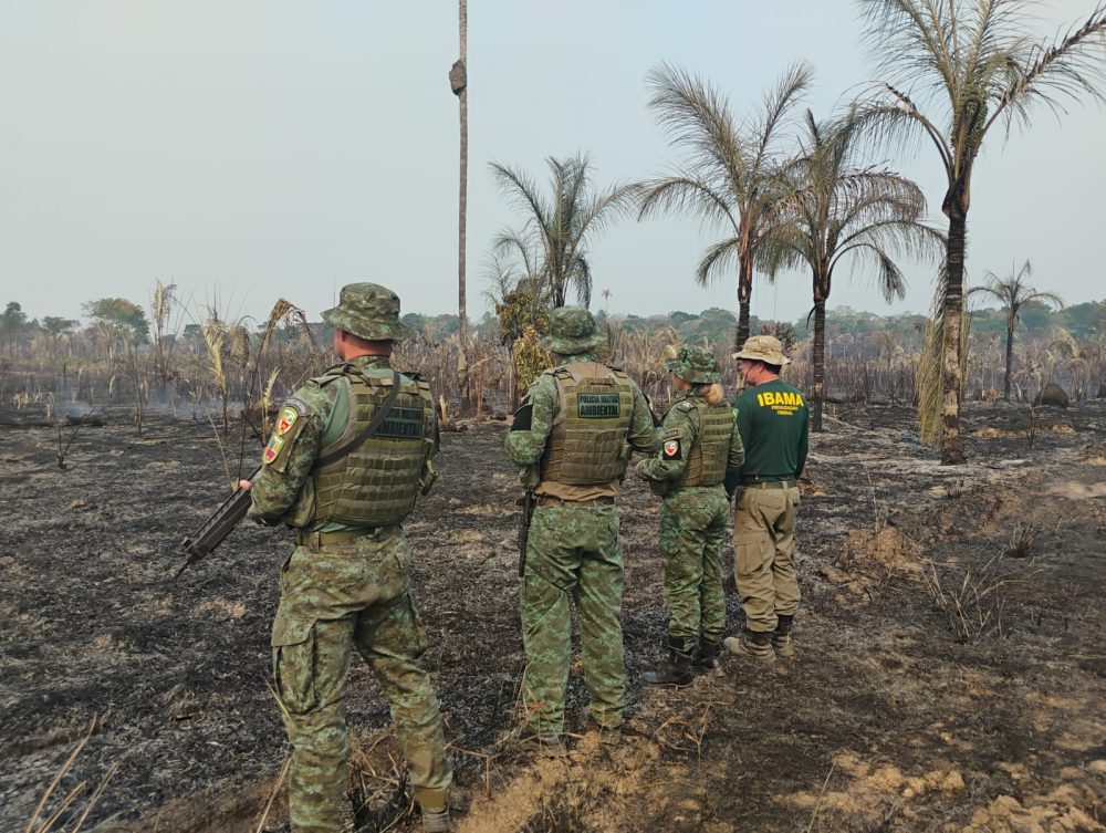 Operação Ibirá combate desmatamento ilegal em municípios do Amazonas Operação Ibirá combate desmatamento ilegal em municípios do Amazonas