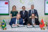 Marrocos isenta de impostos importação de carne bovina e ovina do Brasil