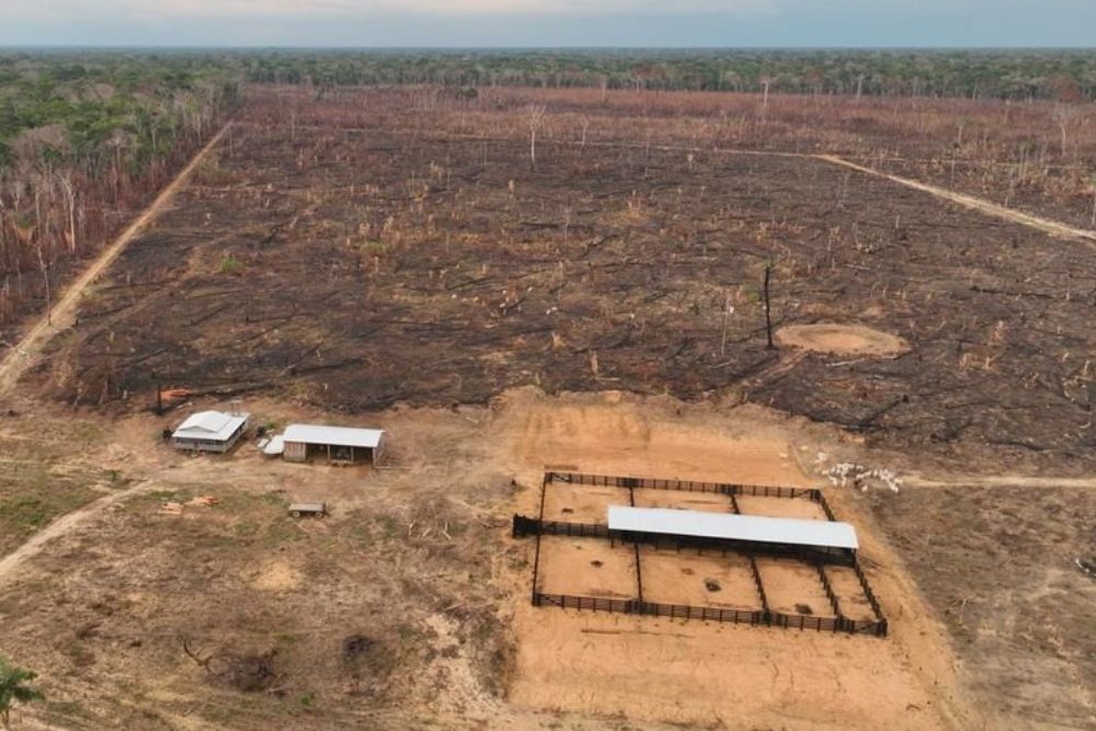 PF deflagra opera&ccedil;&atilde;o contra queimadas e desmatamento no sul do Amazonas