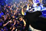 Boi Caprichoso celebra aniversário de Manaus com show especial no Sambódromo