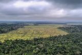 Degradação de florestas na Amazônia Legal bate recorde mensal em setembro