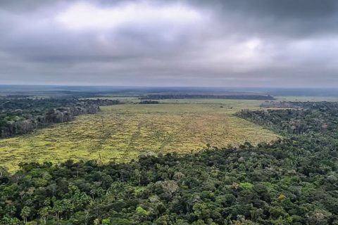 Degradação de florestas na Amazônia Legal bate recorde mensal em setembro