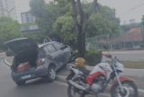 Carro invade canteiro e atinge árvore na avenida Darcy Vargas