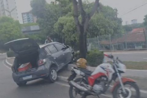 Carro invade canteiro e atinge árvore na avenida Darcy Vargas