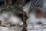 Corpo esquartejado é encontrado em terreno baldio no Centro de Manaus