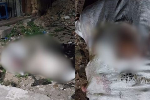 Corpo esquartejado é encontrado em terreno baldio no Centro de Manaus