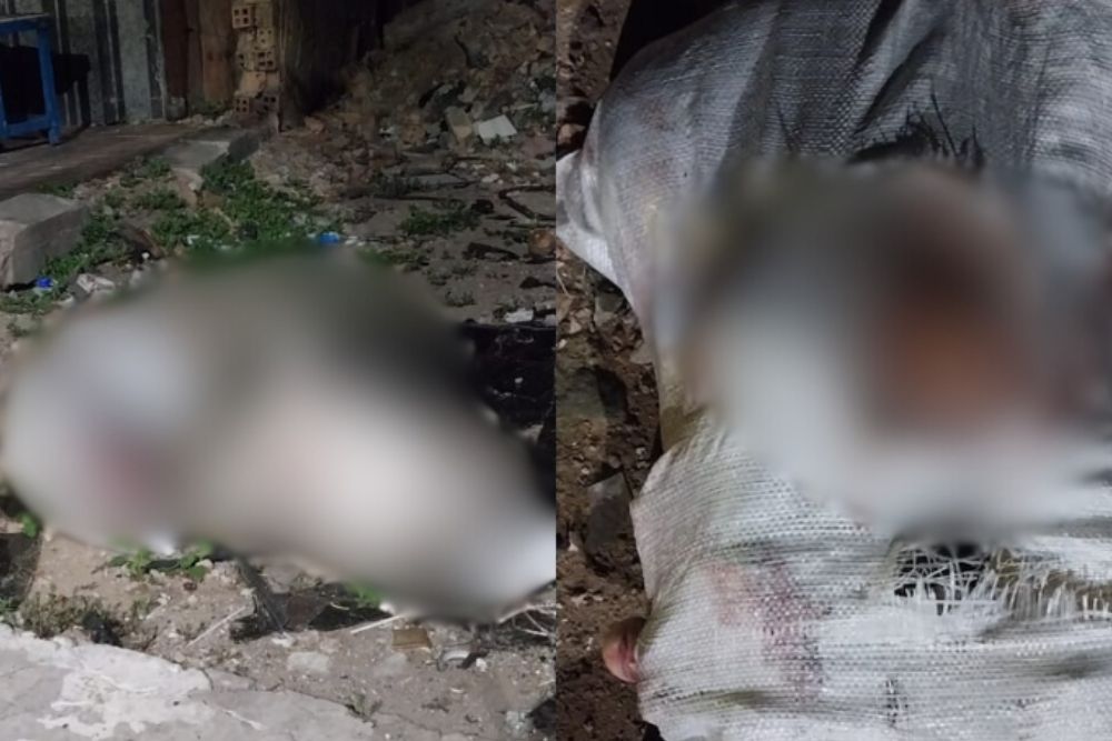 Corpo esquartejado é encontrado em terreno baldio no Centro de Manaus Corpo esquartejado é encontrado em terreno baldio no Centro de Manaus