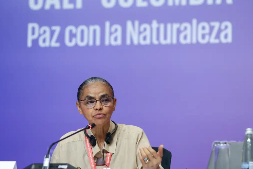 COP16: Marina Silva defende fundo para remunerar povos tradicionais
