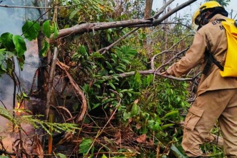 Bombeiros combatem incêndio em área de vegetação na comunidade Parque das Tribos