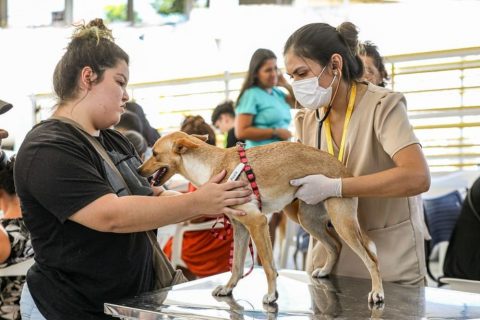 Programação do 'Prospera' vai contar com feira de adoção de animais e Castramóvel em Manaus