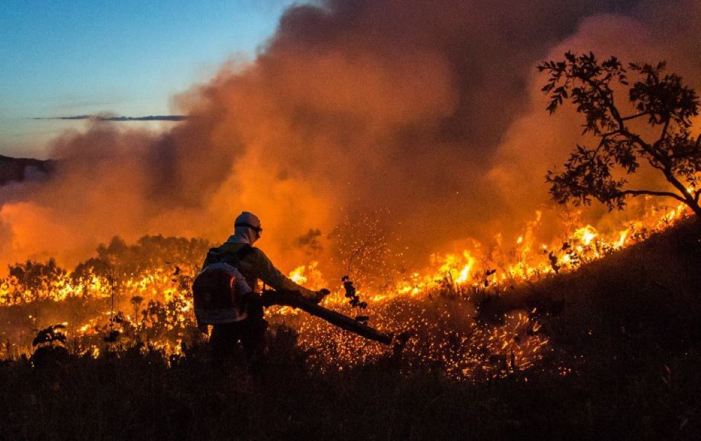 Crise climática é amplificadora de outras crises, alerta pesquisadora
