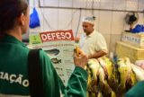 Período de Defeso das Espécies Subaquáticas do Amazonas terá início nesta sexta-feira (15)