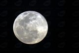 Última superlua cheia do ano pode ser vista nesta sexta-feira