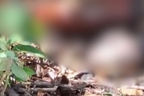 Corpo em estado de decomposição é encontrado em área de mata no bairro Jorge Teixeira