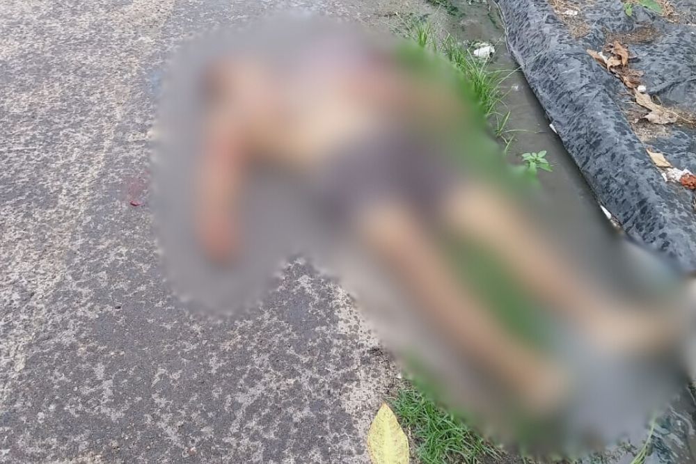 Homem &eacute; executado com mais de dez tiros no bairro Novo Aleixo