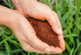 Brasil é líder mundial em uso de biofertilizantes e biodefensivos