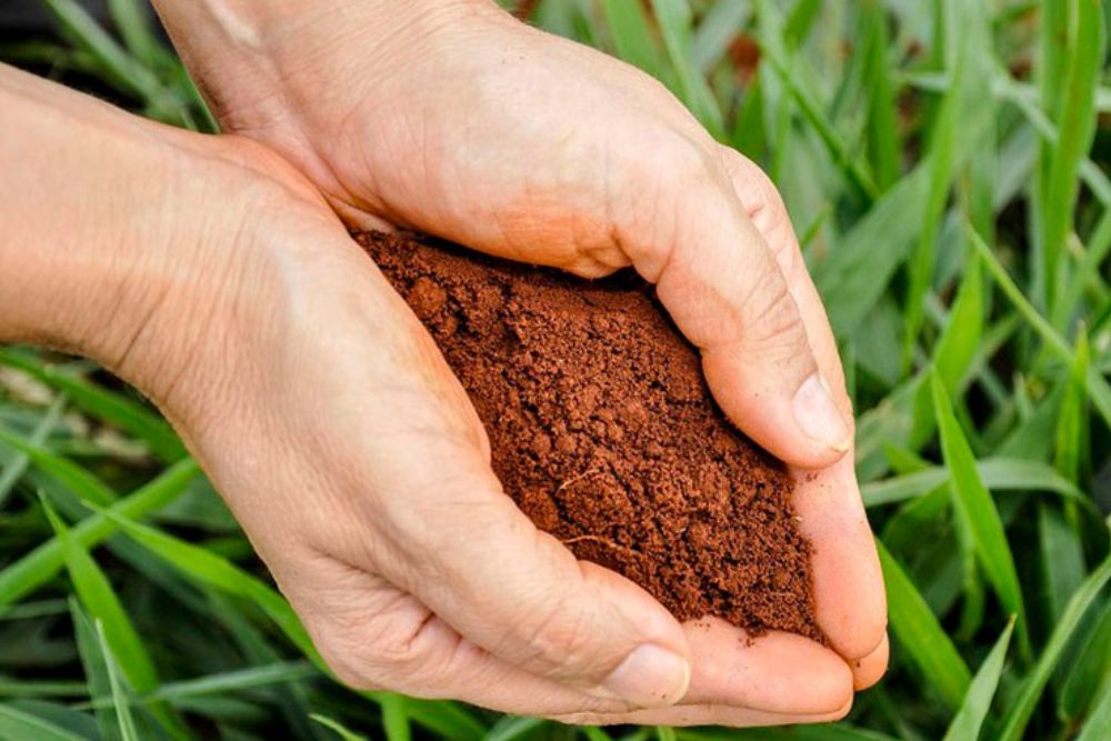 Brasil é líder mundial em uso de biofertilizantes e biodefensivos