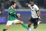 Palmeiras e Botafogo jogam por liderança do Campeonato Brasileiro
