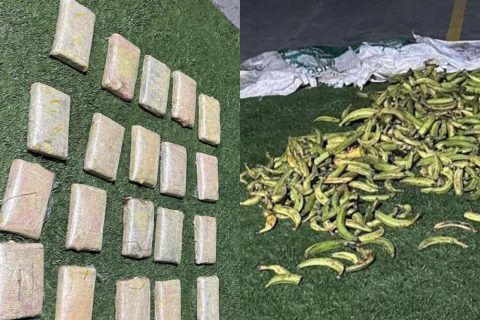 Polícia apreende skunk avaliado em R$ 400 mil dentro de sacos com banana