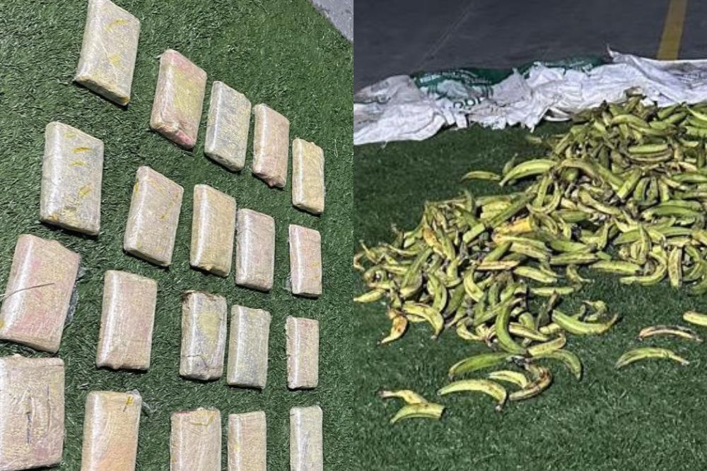 Polícia apreende skunk avaliado em R$ 400 mil dentro de sacos com banana Polícia apreende skunk avaliado em R$ 400 mil dentro de sacos com banana