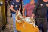Frentista é encontrado morto com sinais de estrangulamento no bairro Nova Cidade
