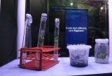 Pesquisadores do AM usam biotecnologia na produção de mudas in vitro