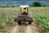 Lula anuncia R$ 546,6 bilhões em investimentos para impulsionar a agricultura