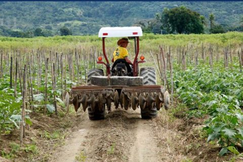 Lula anuncia R$ 546,6 bilhões em investimentos para impulsionar a agricultura
