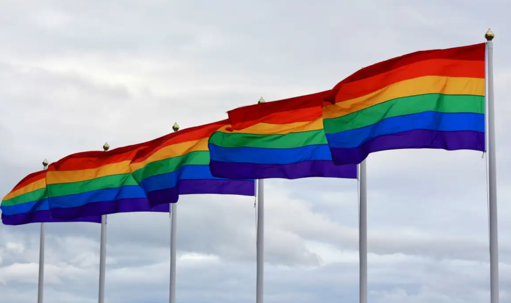 Ministério lança manual de combate à violência contra LGBTQIA+ no Brasil Ministério lança manual de combate à violência contra LGBTQIA+ no Brasil