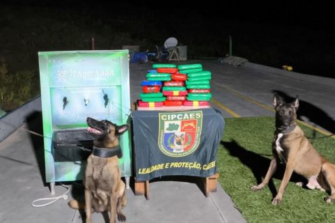 Cão de faro encontra 23 kgs de cocaína escondidos em embarcação de Coari