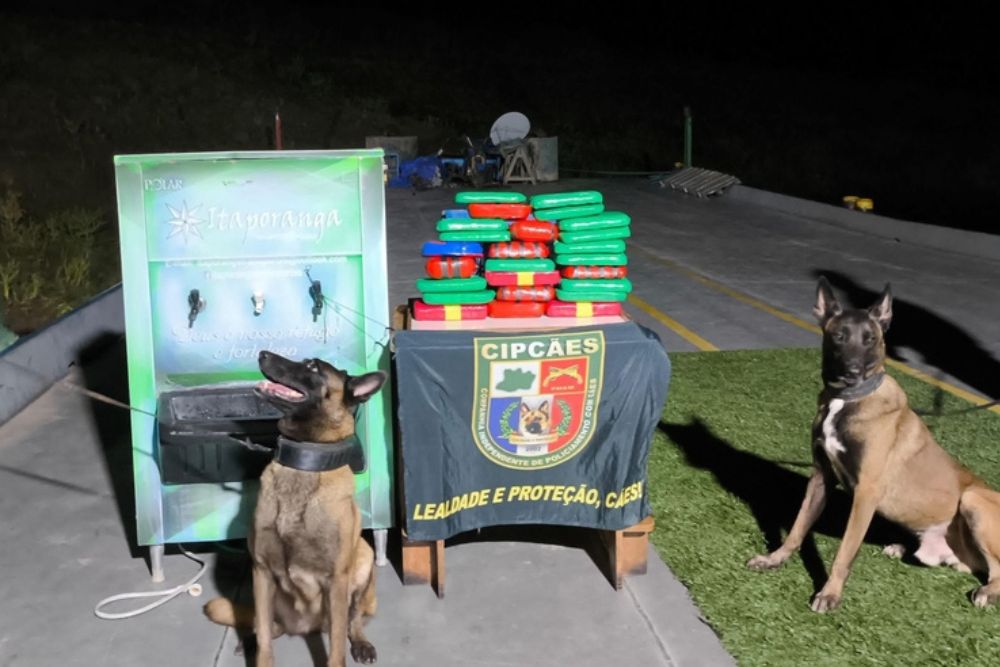 C&atilde;o de faro encontra 23 kgs de coca&iacute;na escondidos em embarca&ccedil;&atilde;o de Coari