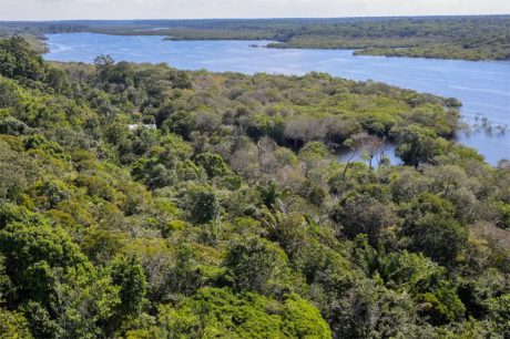 Fundo Clima aprova R$ 11,2 bilhões em investimentos para 2025