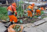Prefeitura realiza limpeza urbana em diversos pontos de Manaus