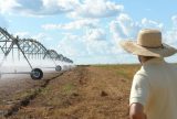 Áreas agrícolas irrigadas crescem 14% desde 2023