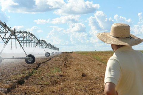 Áreas agrícolas irrigadas crescem 14% desde 2023