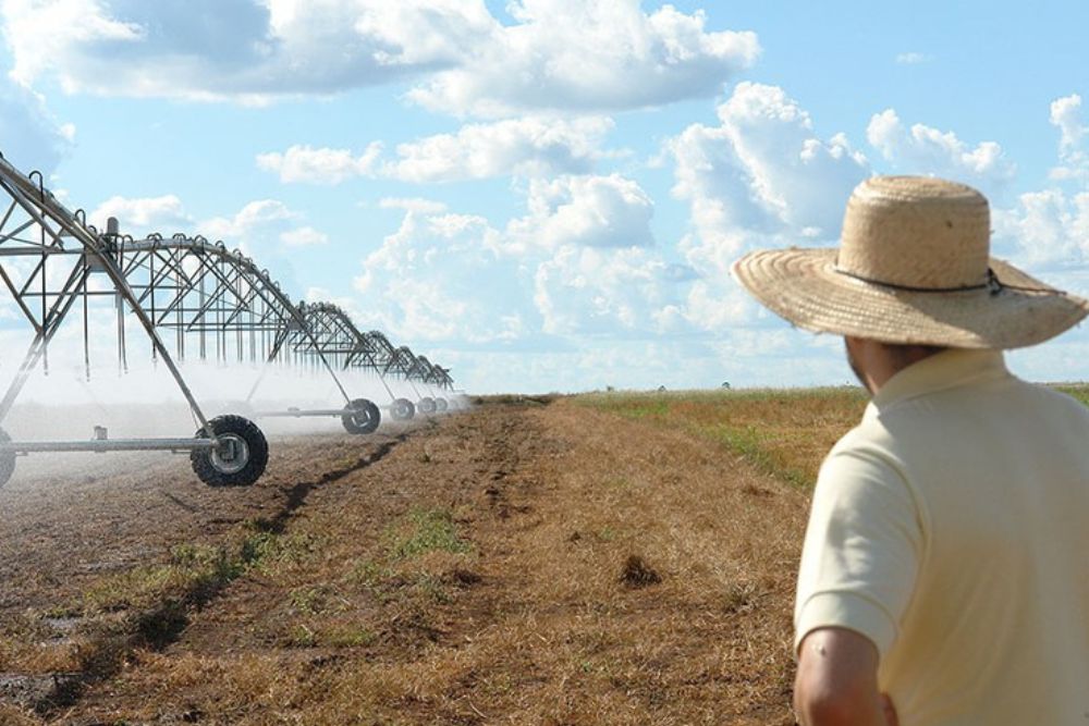 &Aacute;reas agr&iacute;colas irrigadas crescem 14% desde 2023