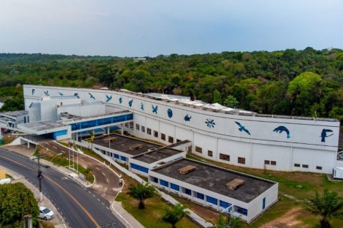 Centro de Bionegócios da Amazônia prorroga inscrições do edital CBA Open para startups