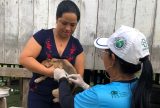 Mais de 60% dos municípios alcançaram a meta de vacinação antirrábica no Amazonas em 2024