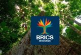 Samaúma é a logomarca do Brics Brasil: árvore amazônica traduz objetivos do grupo