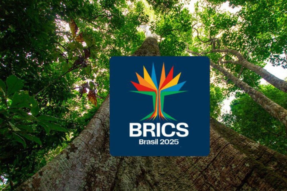 Sama&uacute;ma &eacute; a logomarca do Brics Brasil: &aacute;rvore amaz&ocirc;nica traduz objetivos do grupo